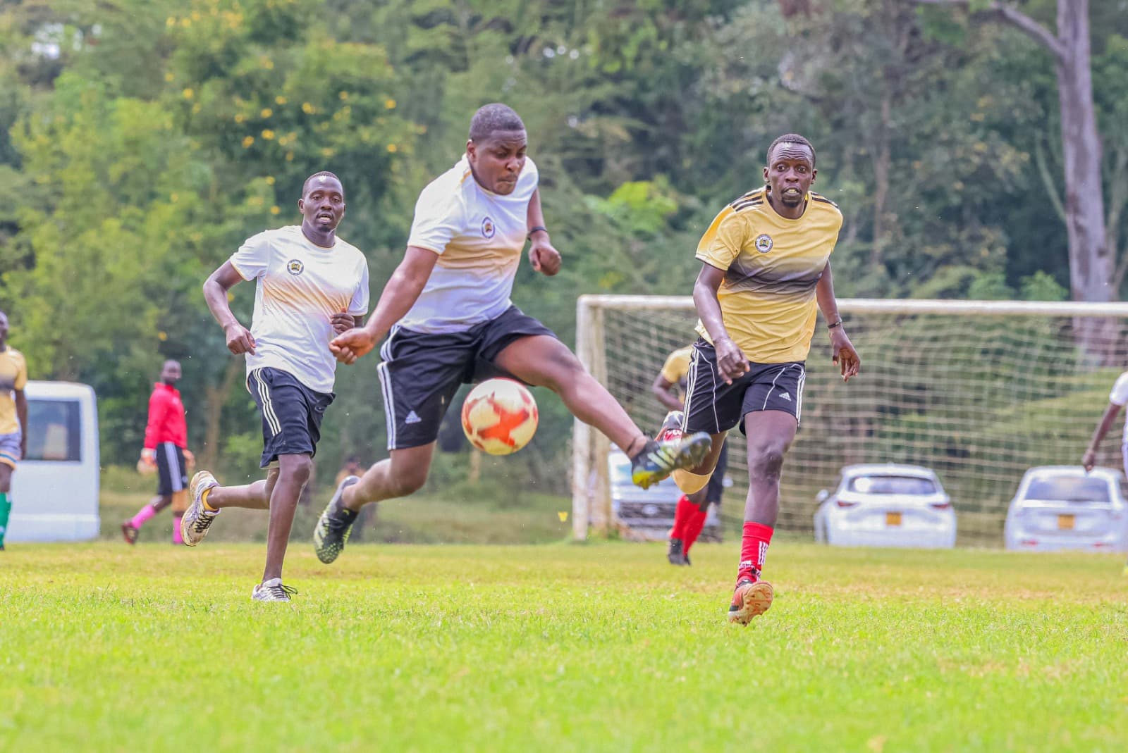 PSC Sports Day unites teams, boosts wellness goals